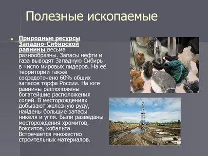 Полезные ископаемые западно сибирской низменности