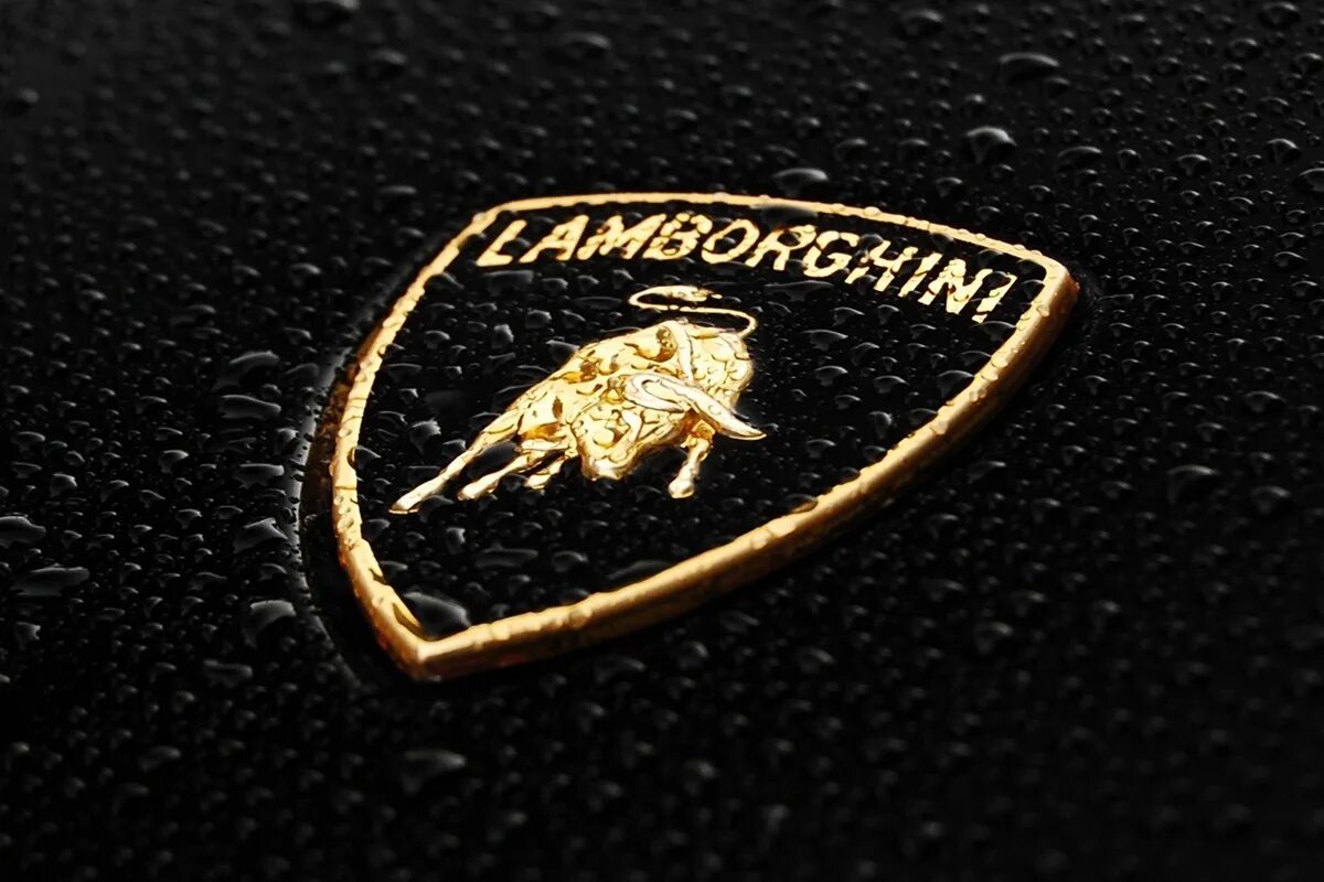 Марка Lamborghini. Логотип Ламборгини. Значок машины Ламборджини. Эмблема Ламборджини фото. Новый значок ламборгини