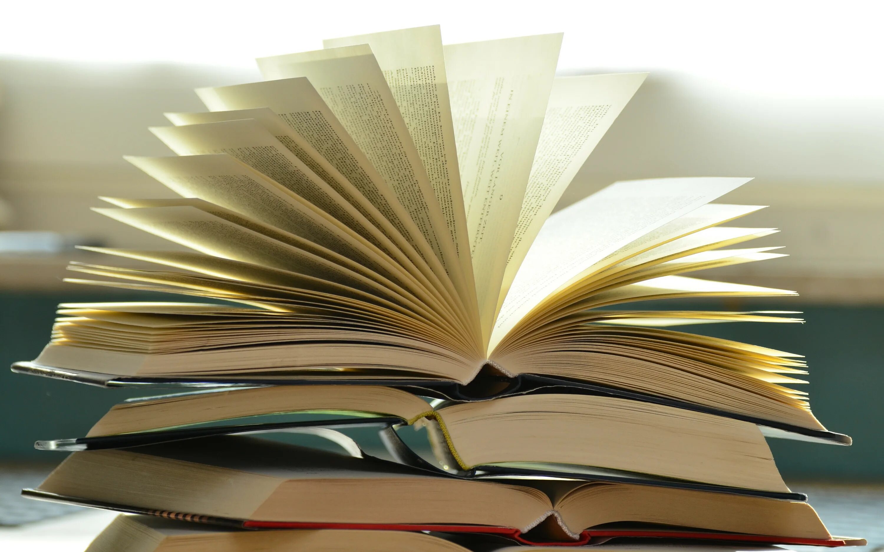 Изображение раскрытой книги. Книга для…. Книга цветы. Книга на белом фоне. Книги.
