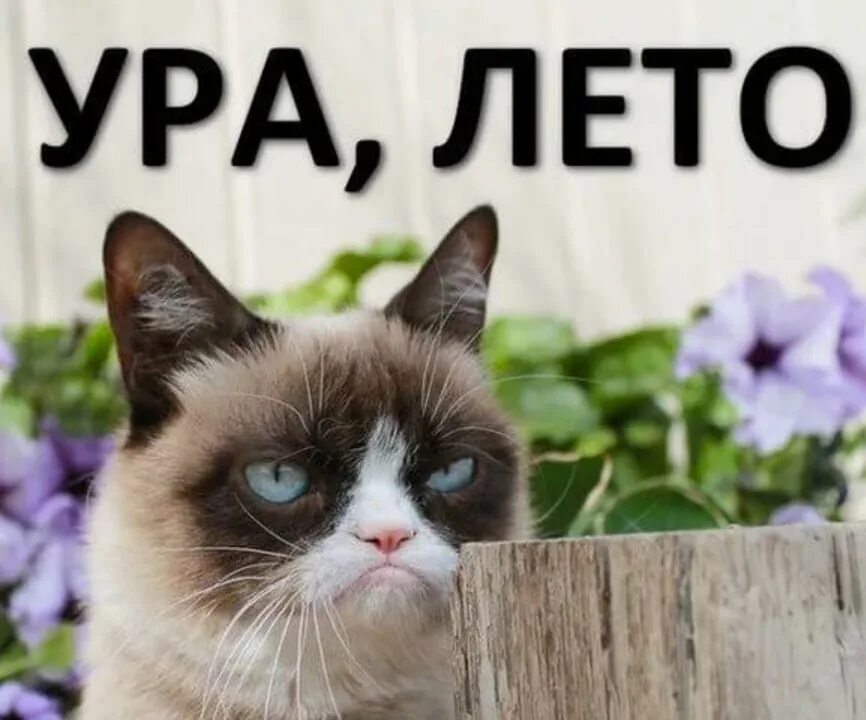 Холодное лето открытки прикольные. Лето ну и что ну и все. Лето ну и что ну и все. Шел второй месяц лета. Последний недели лето.