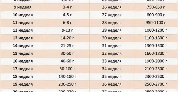 Вес плода в 32 недели беременности норма. Вес плода в 33 недели. Вес младенца на 32 неделе беременности норма. Вес ребёнка в 32-33 недели беременности норма таблица по неделям.