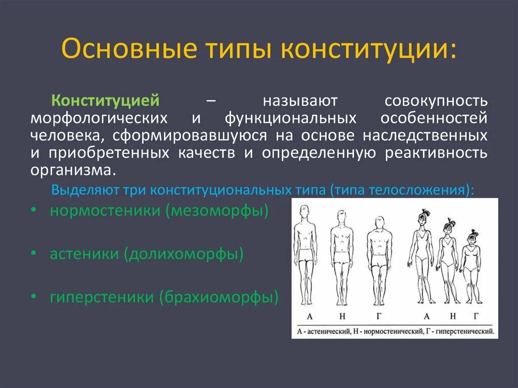 Как определяют конституцию человека. Типы Конституции. Типы Конституции человека. Классификация типов Конституции человека. Что такое Конституция человека типы Конституции.