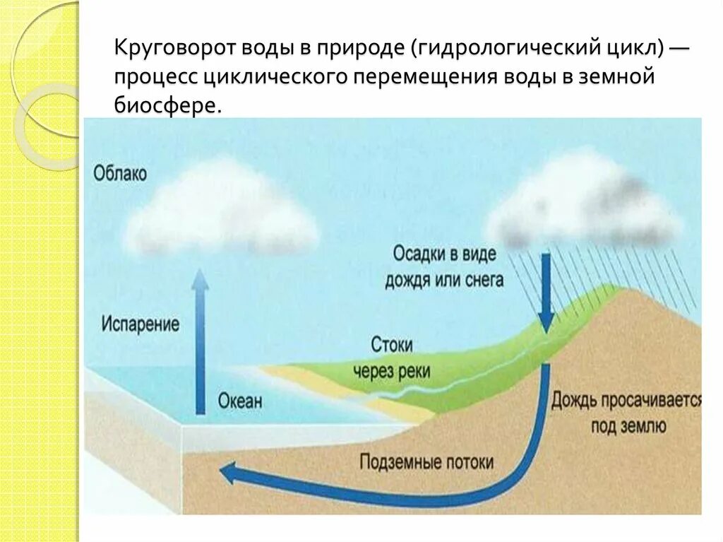 Какие явления зарождаются в гидросфере. Биосфера круговорот воды в биосфере. Полная схема круговорота воды в биосфере. Схема круговорота воды большой и малый круг. Процесс круговорота воды в природе.