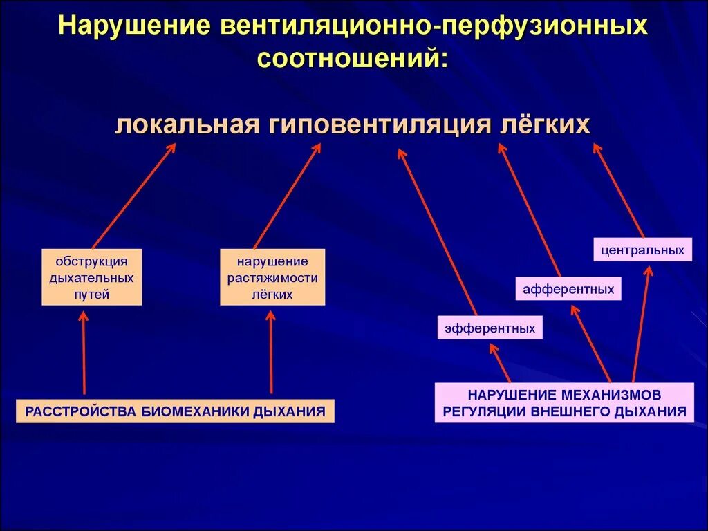 Соотношение вентиляции и перфузии