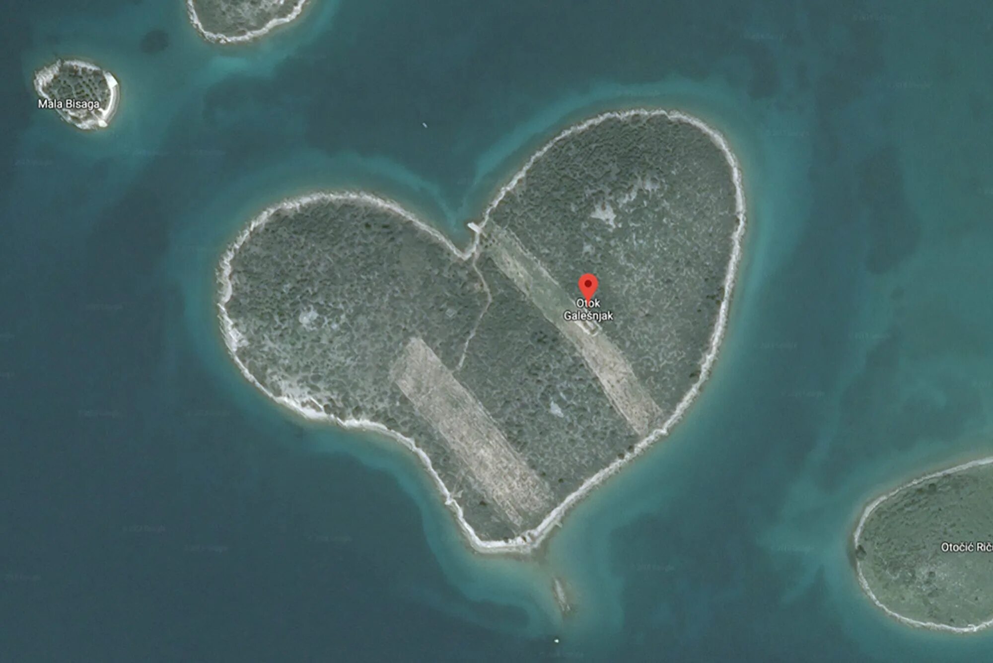 Google island. Остров Галешняк в Хорватии. Остров любви Галешняк. Остров Галесняк Хорватия координаты. Остров Галешняк координаты.