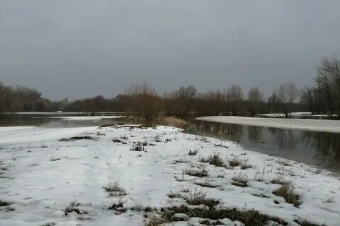 Паводок в рязани 2024