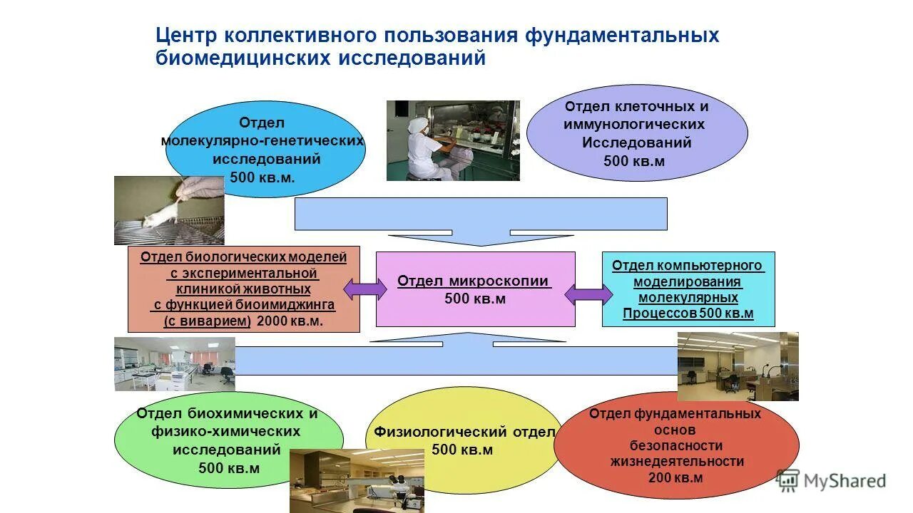 Какой цкп. Цкп помощника руководителя. Центр коллективного пользования. Центр коллективного пользования цкп. Какой цкп.