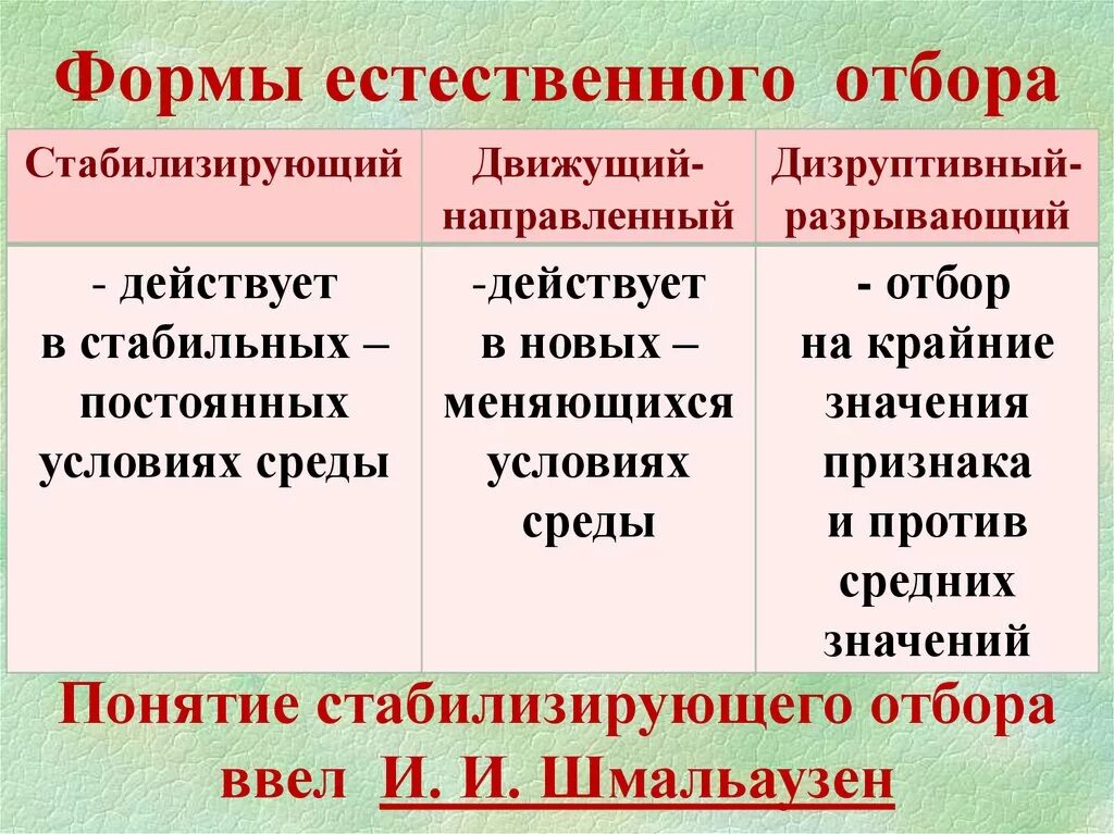 Сравнение форм отбора. Формы естественного отбора. Формы естественного отба. Втдыестественного отбора. Формы естествоеногоьотбора.