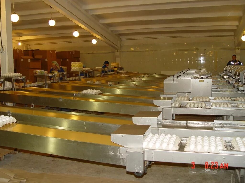 Упаковка продукции склад. Сортировка и упаковка. Упаковщик чая. Фасовка чая на фабрике. Сортировка и упаковка.