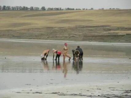 Республика калмыкия село соленое