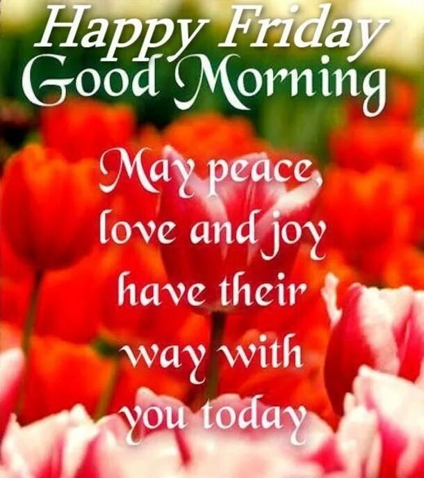 Happy better not get. Good morning happy friday. happy good friday. happy friday morning. good morning have a nice friday.