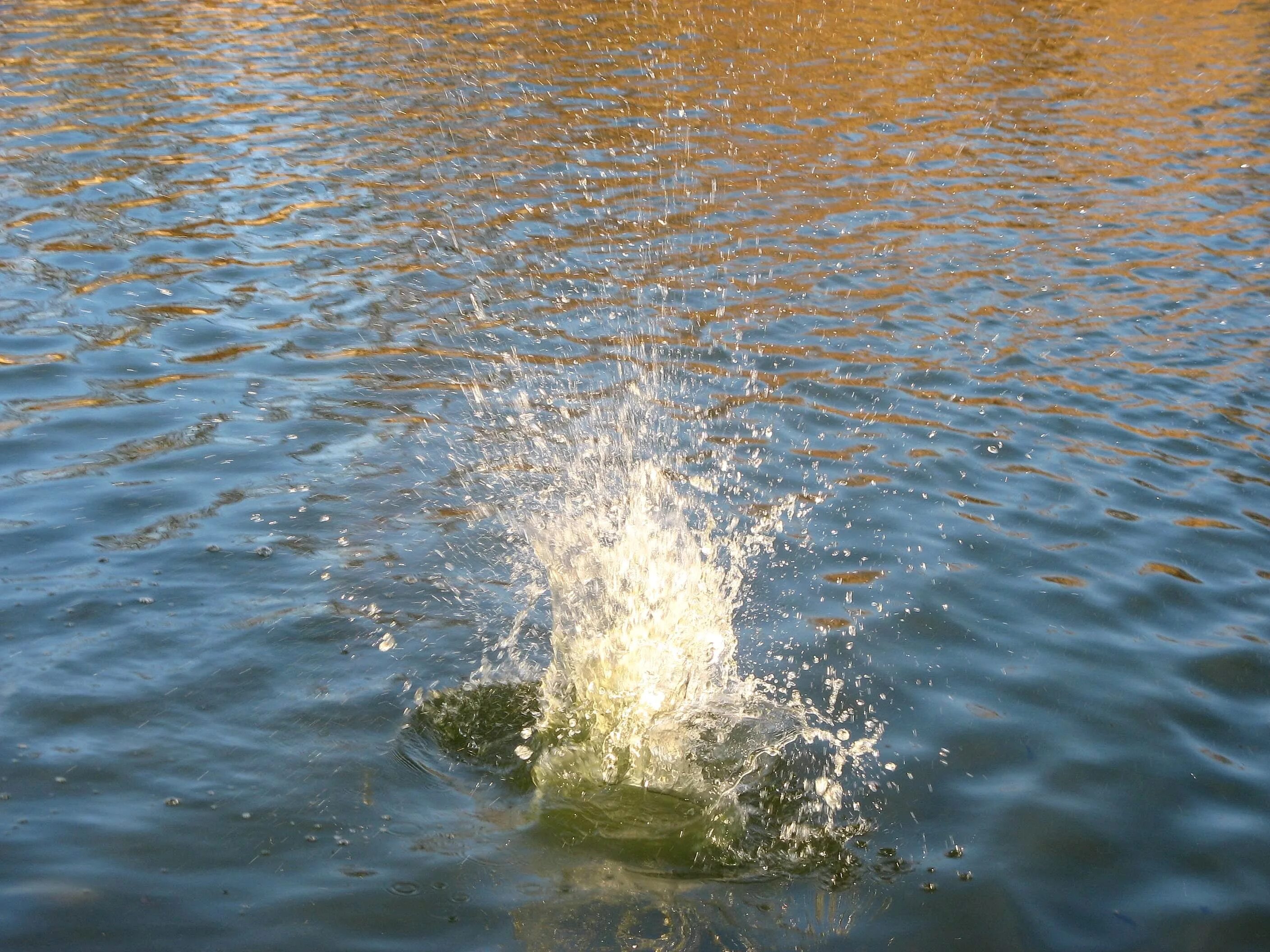 Падающая вода. Падающая вода фото. Падающий воде Еричи. Падающая вода 6.3. Резкое падение воды.