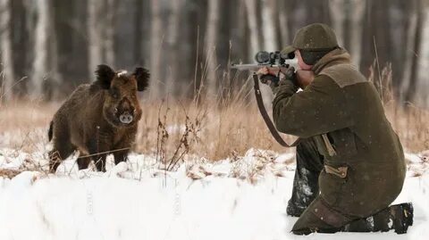 Объявила охоту