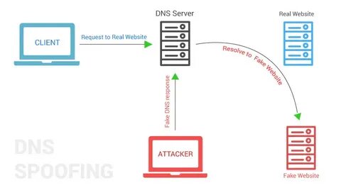 Dns setting failed