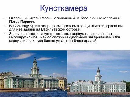 Музей кунсткамера история