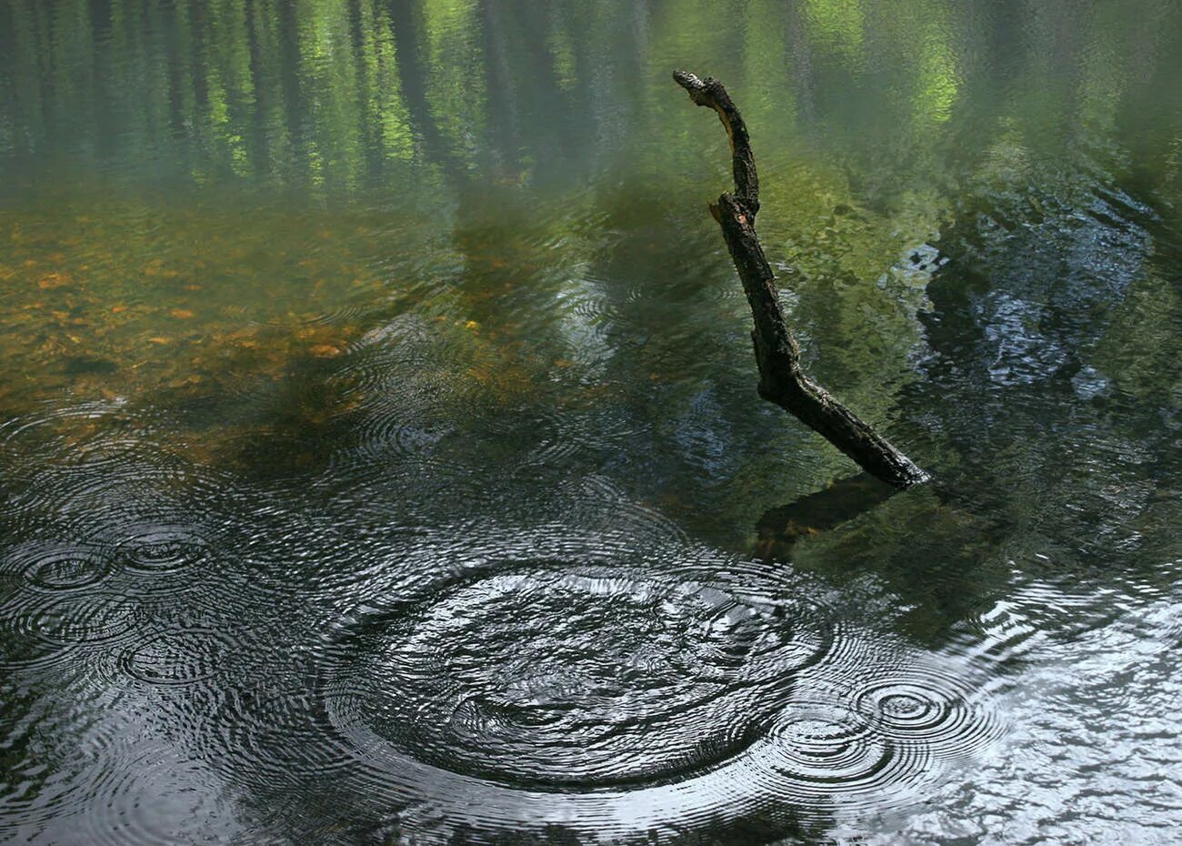 Кидаем камни в воду. Круги на воде. Камень брошенный в воду. Круги на воде река. Круги на воде природа.