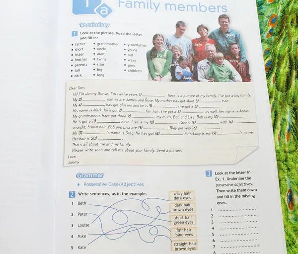 Family members 6 класс 1. A member of the family. Family members in english. Family members cards. Family members 6 класс 1.
