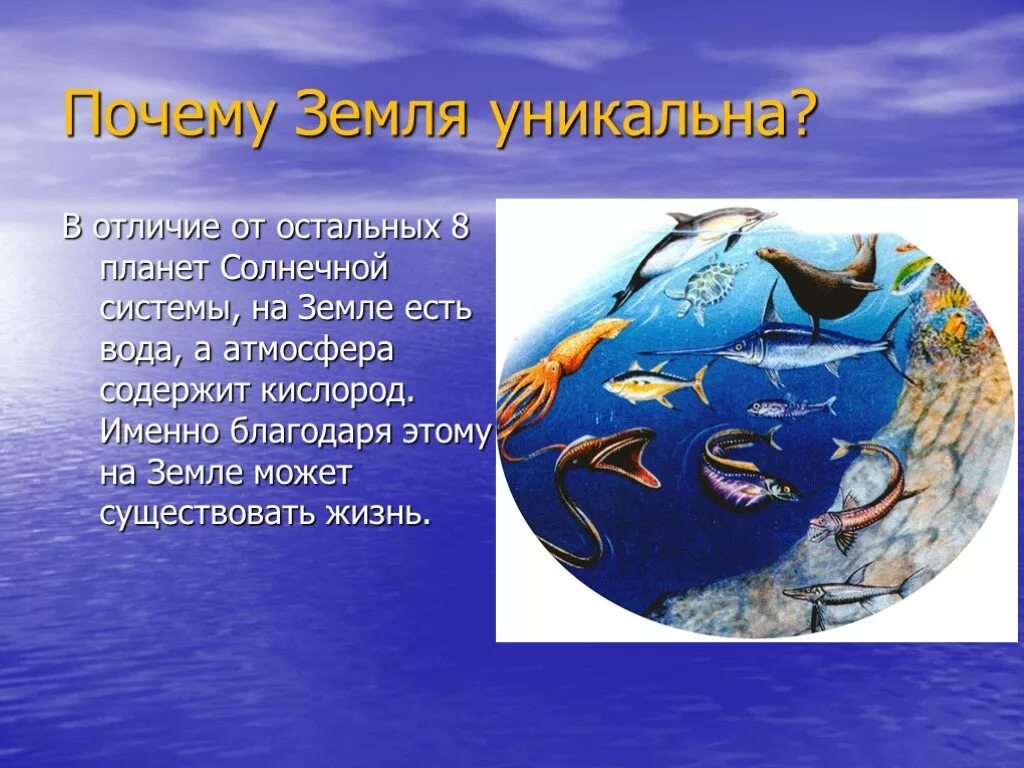 Почему земля уникальная