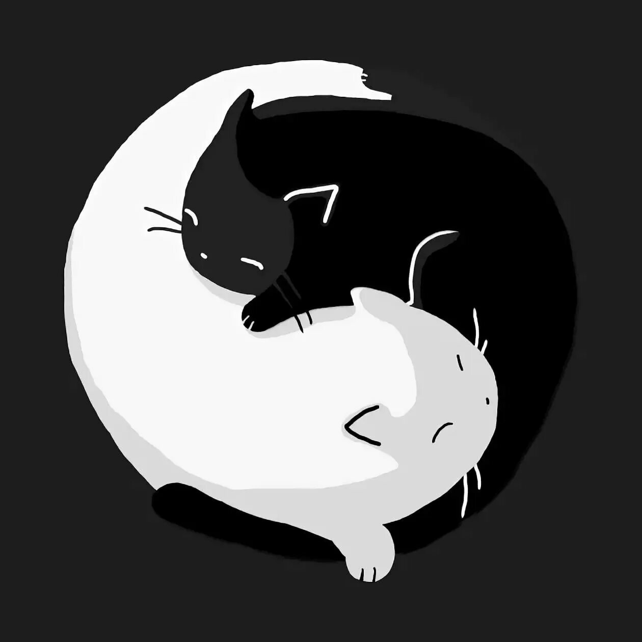 Котик инь. Кот инь янь. кошачий инь янь. инь янь арты. коты инь и янь картина.