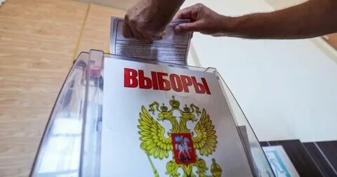 Выборы 2024 места