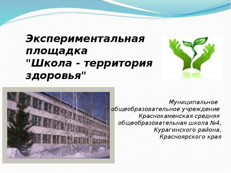 Организация экспериментальных школ. Экспериментальные школы. опытно экспериментальная площадка школы. экспериментальные школы проекты. экспериментальная площадка для начальной школы.