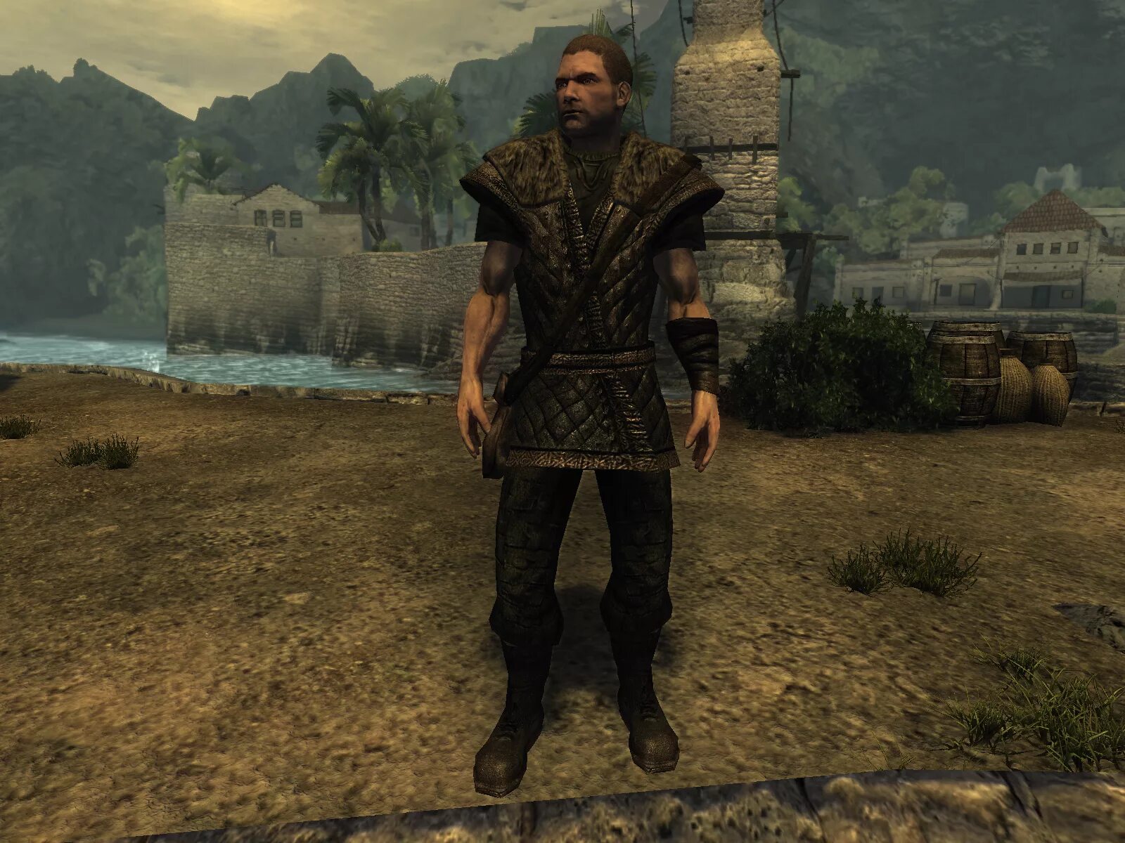 Risen как устанавливать моды. Risen beard_mod_01. Risen 2 dark waters пэтти. Risen как устанавливать моды. Risen 2 доспехи.