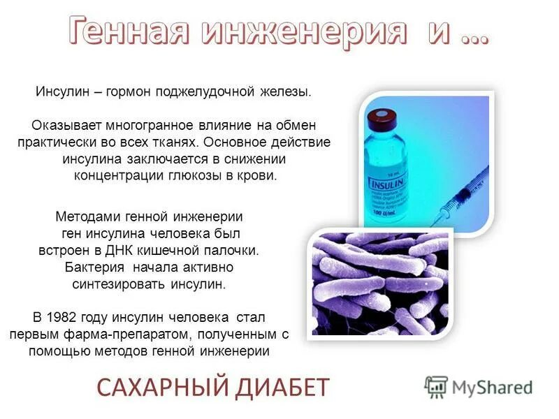 методами генной инженерии получают продукты. генная инженерия примеры. генная инженерия в медицине инсулин. достижения генной инженерии. методами генной инженерии получают продукты.