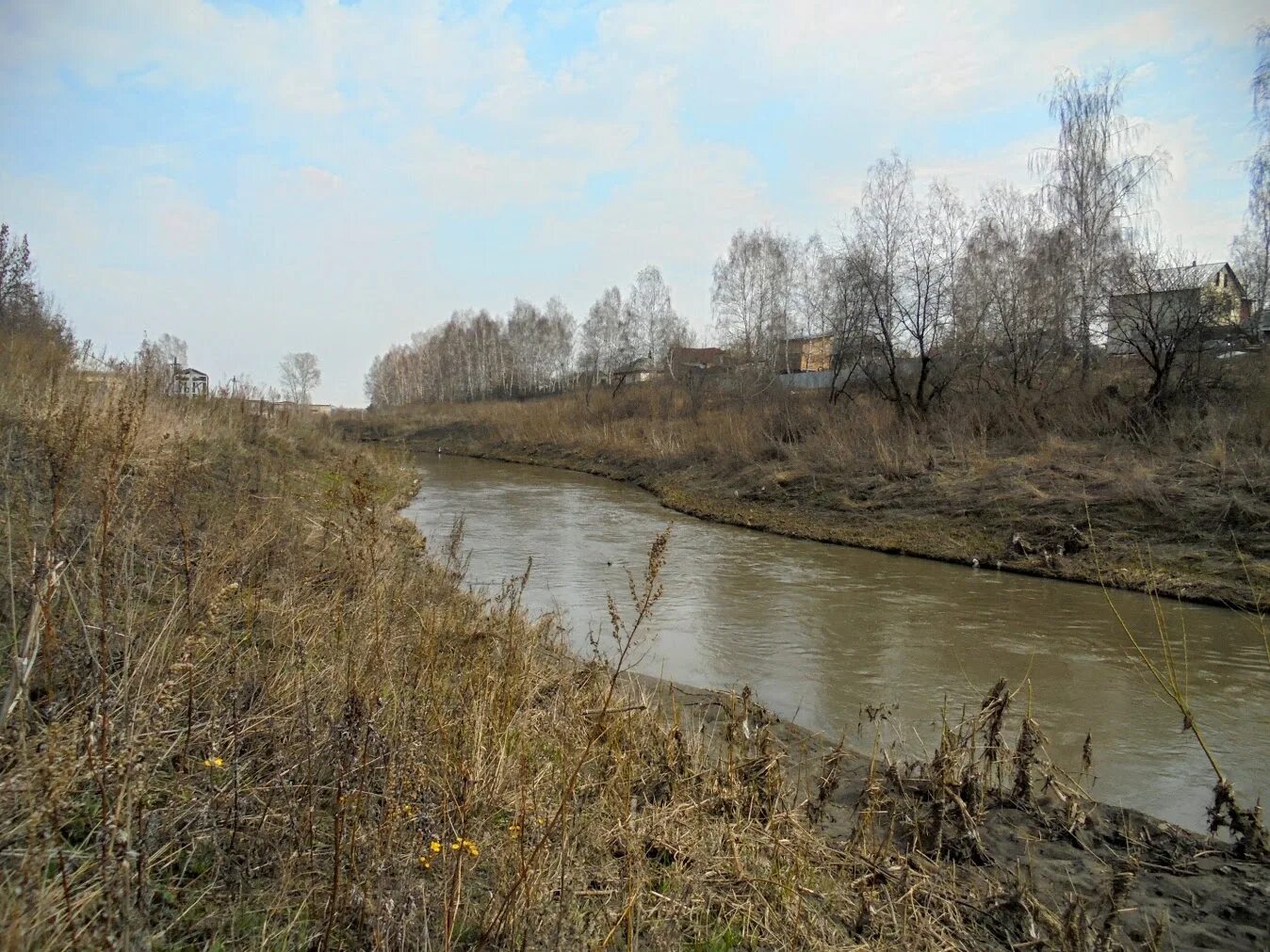 Река искитим. Искитим Петушиха река. Река большая Камышная в Кемерово. Река Искитим Кемеровская область.