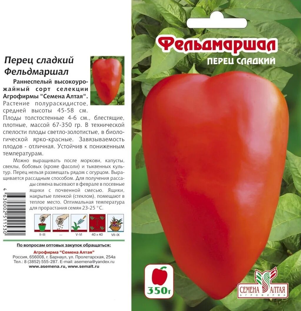 Томат мамонтенок семена алтая. Перец нижегородец характеристика и описание сорта. Свекла цеппо. Перец нижегородец характеристика и описание сорта. Перец веста семена.