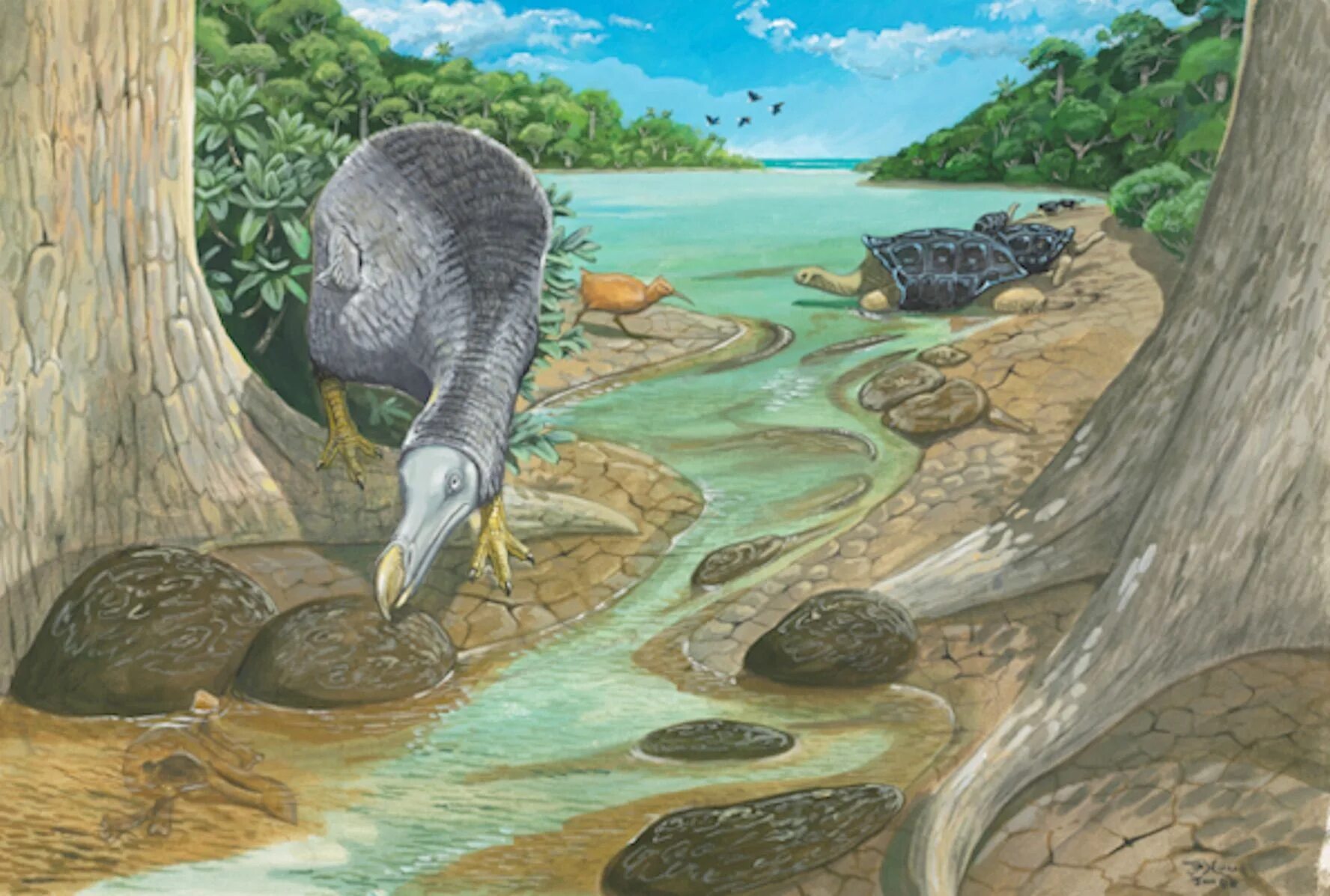 Додо живая природа. Маврикий остров додо. natunaornis gigoura. aphanapteryx bonasia. додо маврикий живопись.