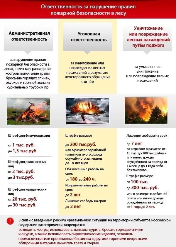 Сообщить о нарушении пожарной. Сообщить о нарушении пожарной