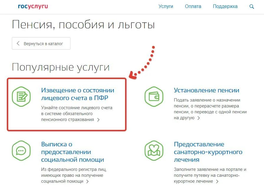 Пенсионный фонд проверить статус. Пенсионный счет. Выписка из пенсионного фонда через госуслуги. Выписка о пенсии на госуслугах. Выписка из лицевого счета в пенсионном фонде через госуслуги.