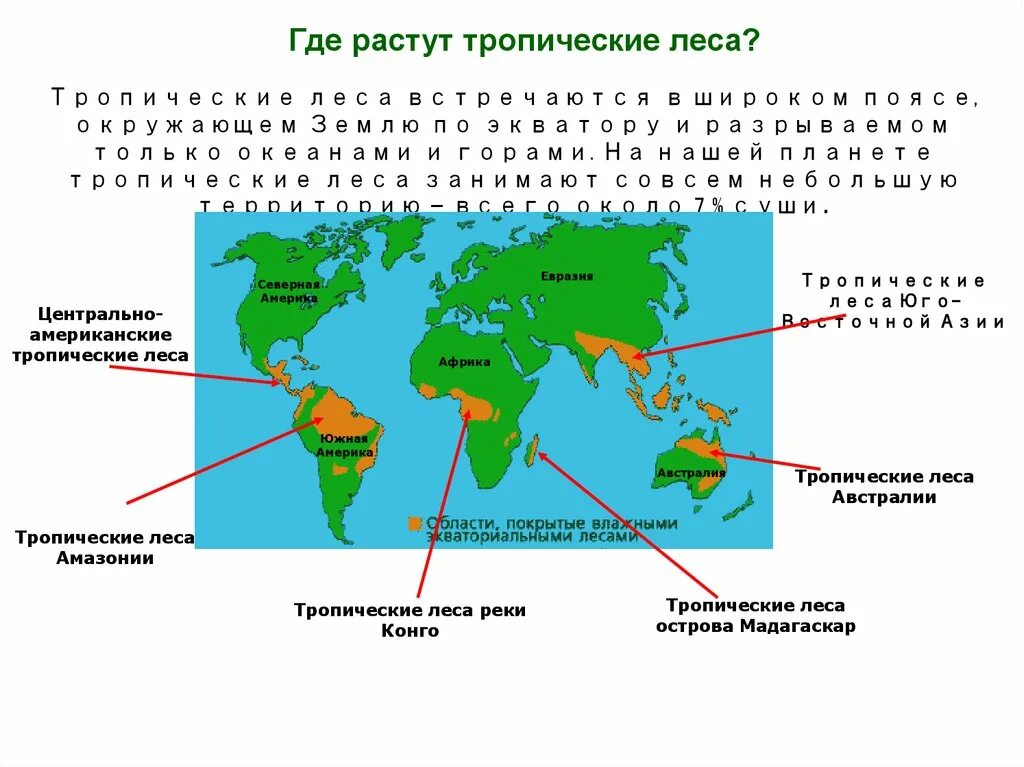 Где находится лес на карте