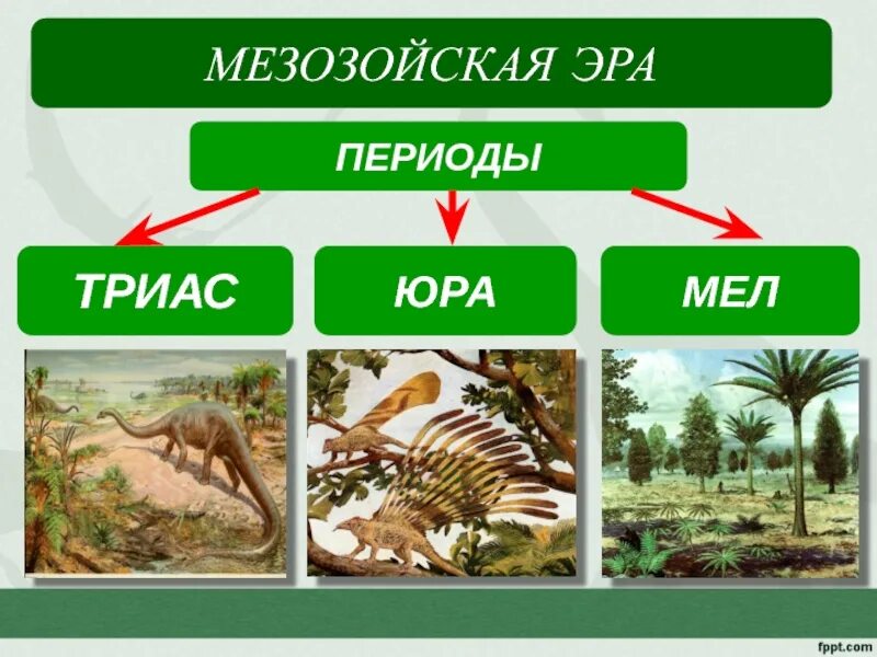 Мезозойский возраст. Мезозой периоды. Мезозой Эра периоды. Мезозойская Эра Триас таблица. Мезозой Триас.