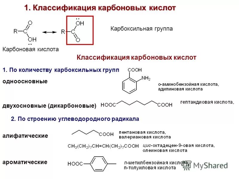 Изучение карбоновых кислот