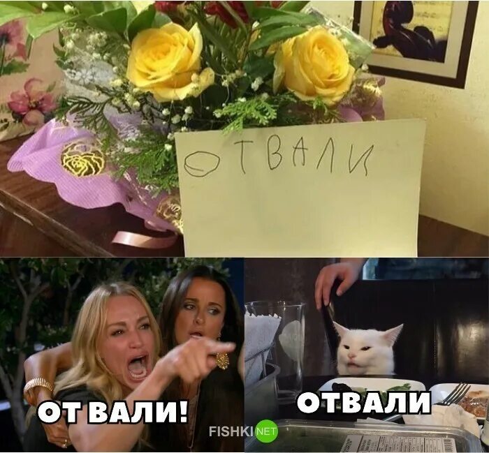 Мемы которые рассмешат любого. Осуждающий взгляд кота. Веселые мемы с котом которые рассмешат любого. Осуждающий кот. Кот осуждает.