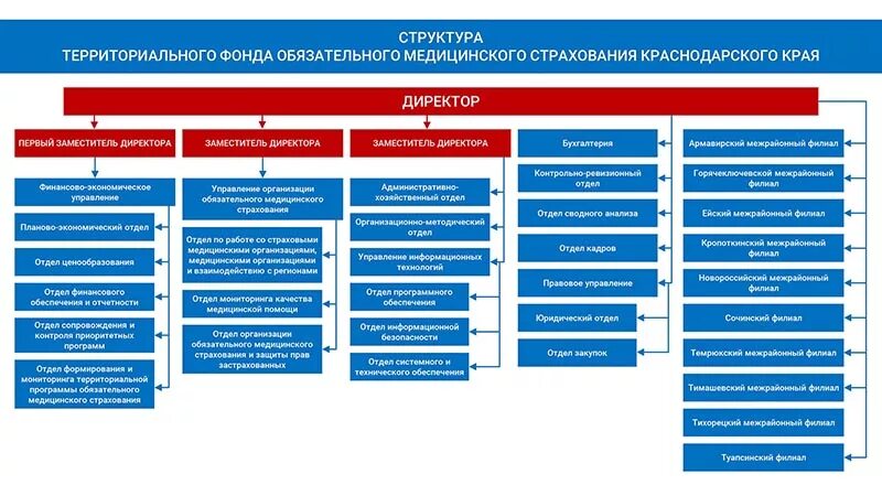 Какой территориальный орган фонда социального страхования. Организационная структура ФФОМС РФ. Структура управления ФОМС РФ схема. Организационная структура ФОМС. Структура ФФОМС схема.