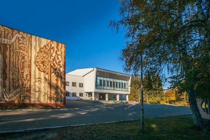 Санаторий красный бор смоленск. Ано красный бор. Ано «санаторий «красный бор». Ано красный бор. Санаторий красный бор смоленск.