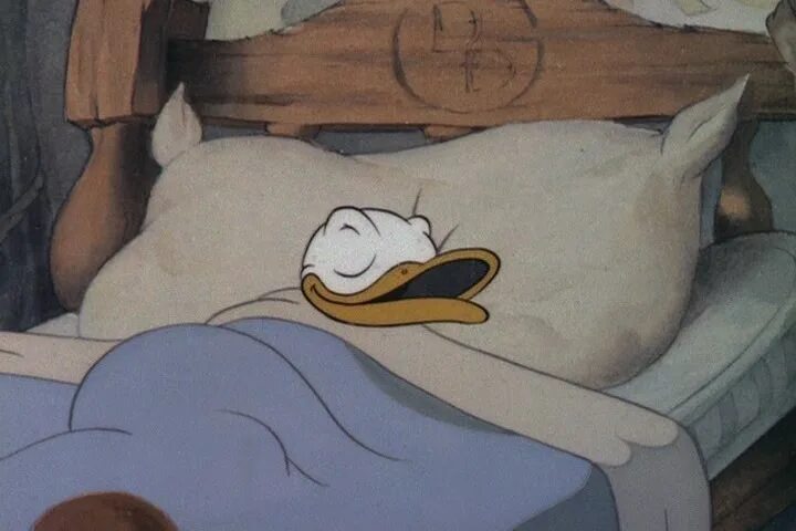 Sleeps was sleeping slept has slept. Sleeps was sleeping slept has slept. Nap sleep. Sleep slept slept неправильные. How do you sleep?.