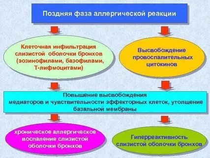 Поздняя аллергическая реакция