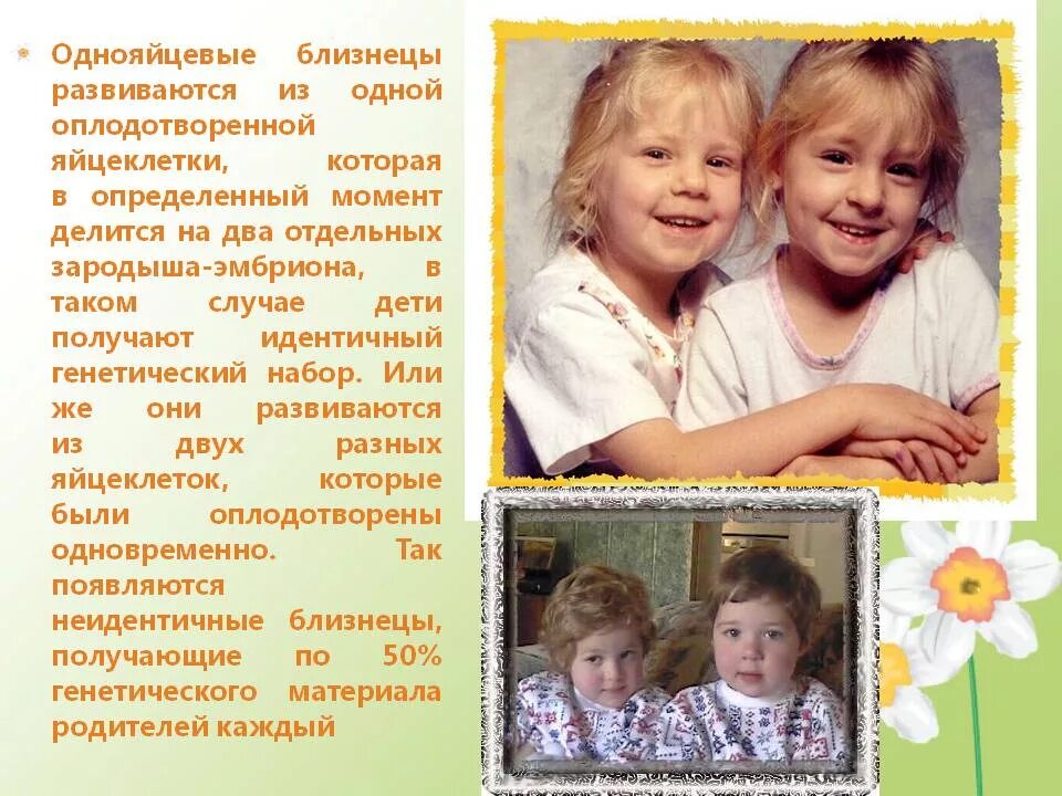 Совпадение признаков у однояйцевых и разнояйцевых близнецов. Однояйцевые близнецы. однояйцевые двойняшки. образование близнецов. однояйцевые близнецы это определение.