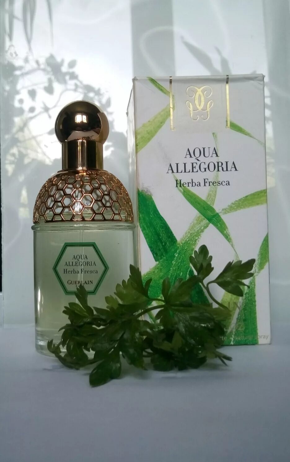 Guerlain aqua allegoria herba