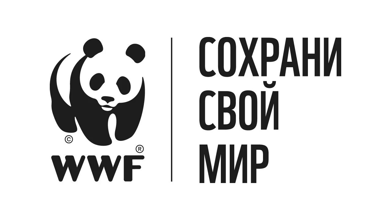 Всемирный фонд дикой природы WWF. Эмблема WWF Всемирного фонда дикой природы. Панда Всемирная организация. Всемирный фонд охраны природы (вфоп),.