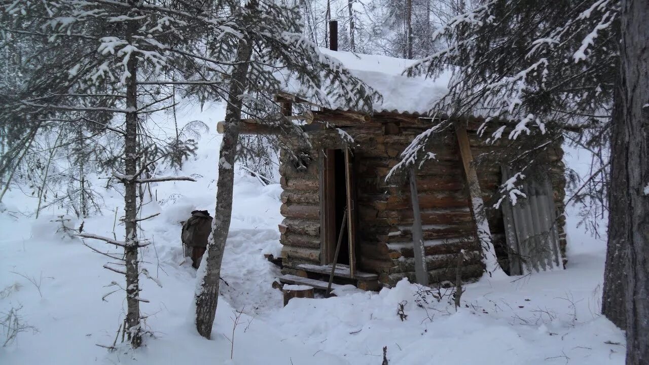 Жизнь в зимовьях видео