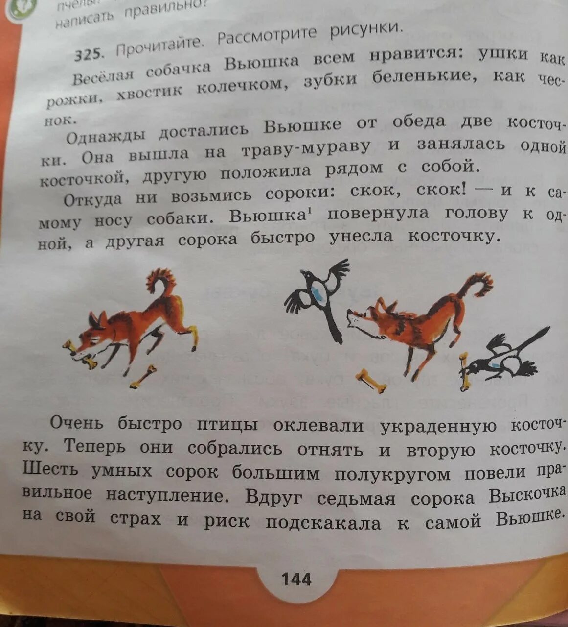 Какое чувство вызвала у тебя сорока выскочка. Предложение со словом выскочка. Веселая собачка эта вьюшка изложение. Придумать продолжение рассказа выскочка. Изложения собачка вьюшка и сороки.