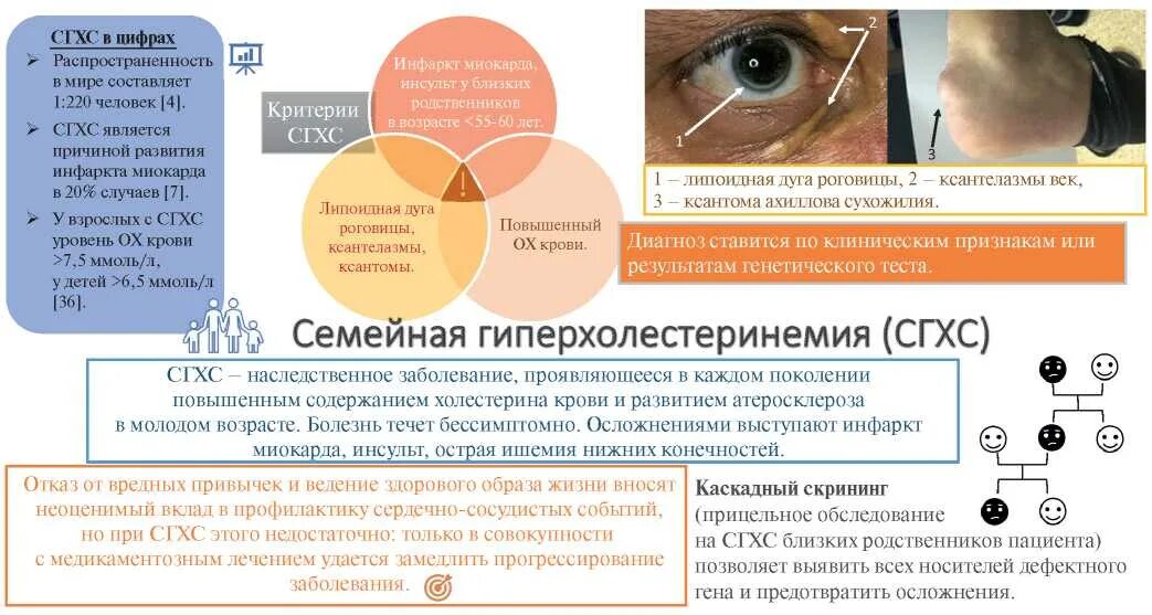 Семейная гиперхолестеринемия клинические рекомендации 2021. Гиперхолестеринемия симптомы. Семейная гиперхолестеринемия симптомы. Наследственная гиперхолестеринемия