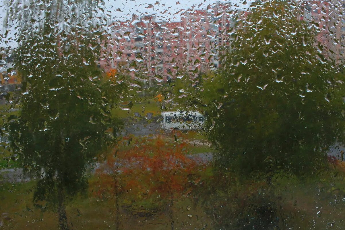 Ливень. Поэтическая тетрадь 1. К полудню дождь. Осень дождь. Солнце после дождя.