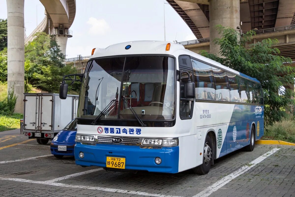 Korean bus