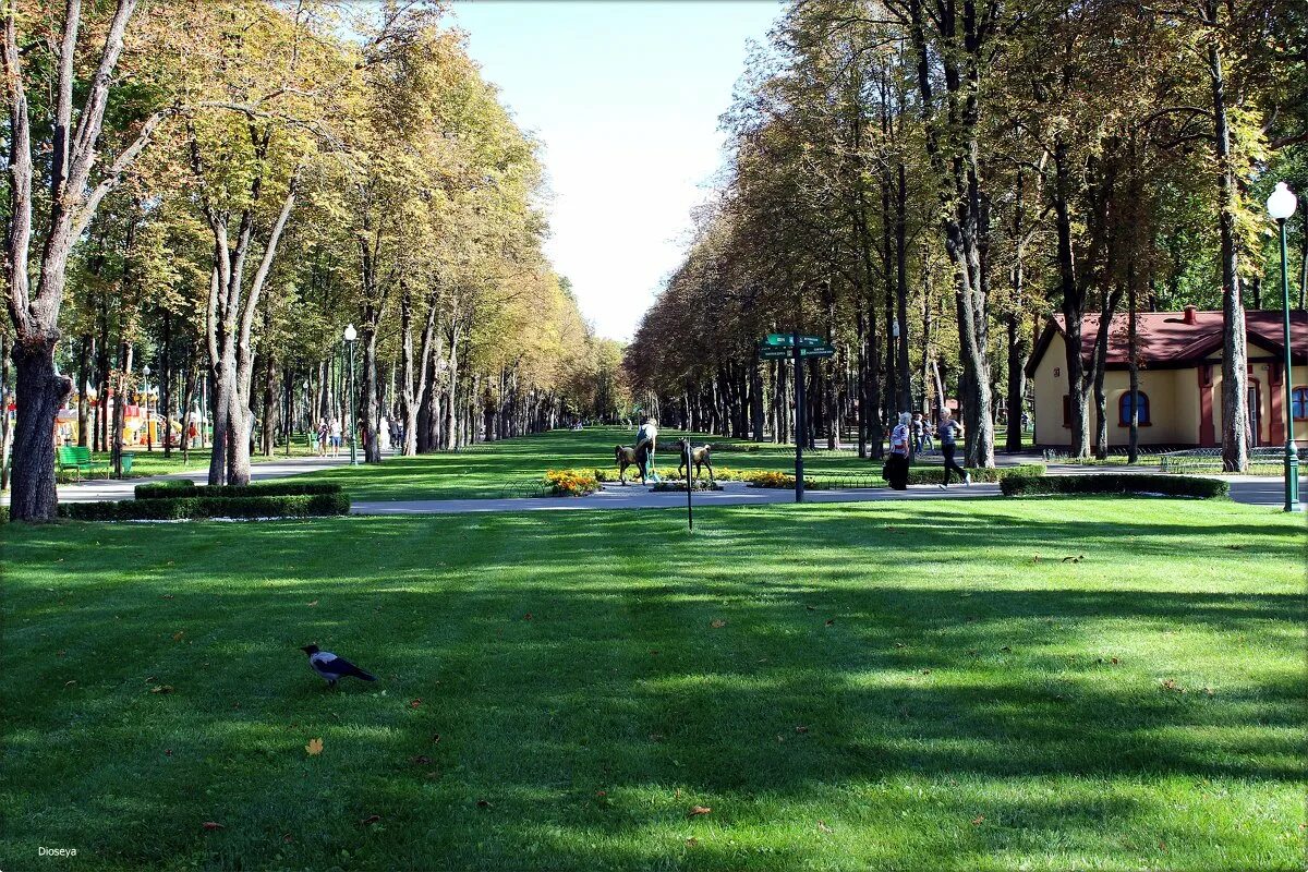 парок харьков. парок харьков.