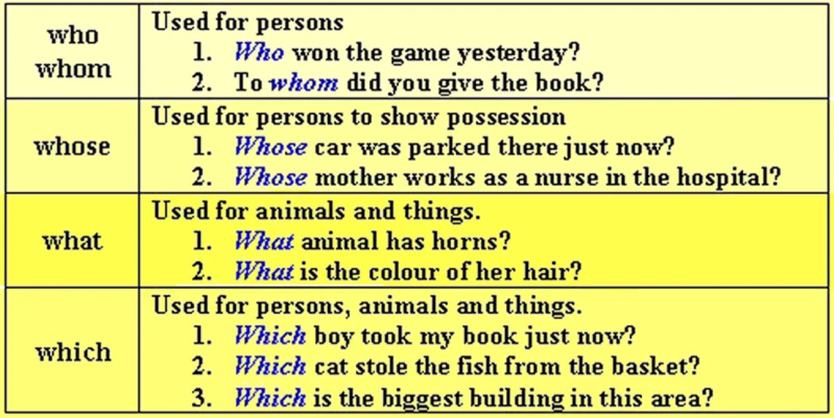 Which one did you like. Which примеры вопросов. Whose в английском языке. Вопросы what и which в английском. Interrogative pronoun предложения.